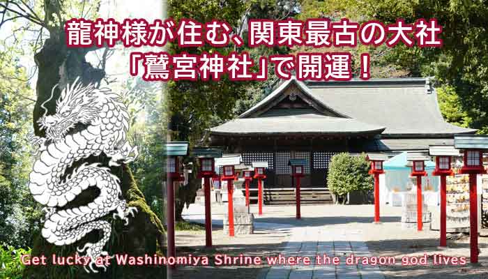 Get lucky at Washinomiya Shrine